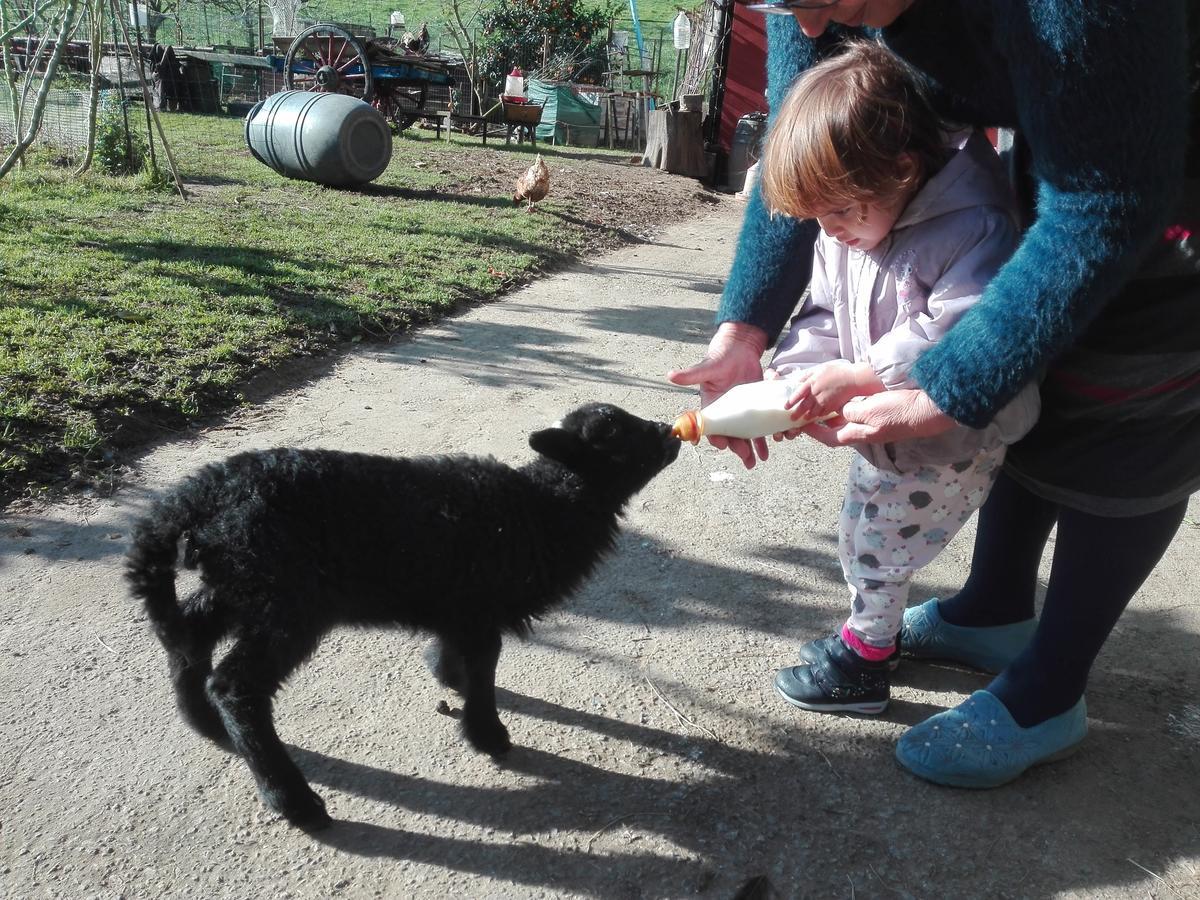 Agroturismo La Casona De Belmonte Ovinana  Kültér fotó