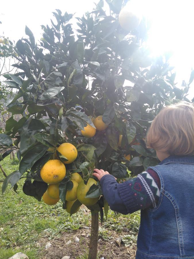 Agroturismo La Casona De Belmonte Ovinana  Kültér fotó