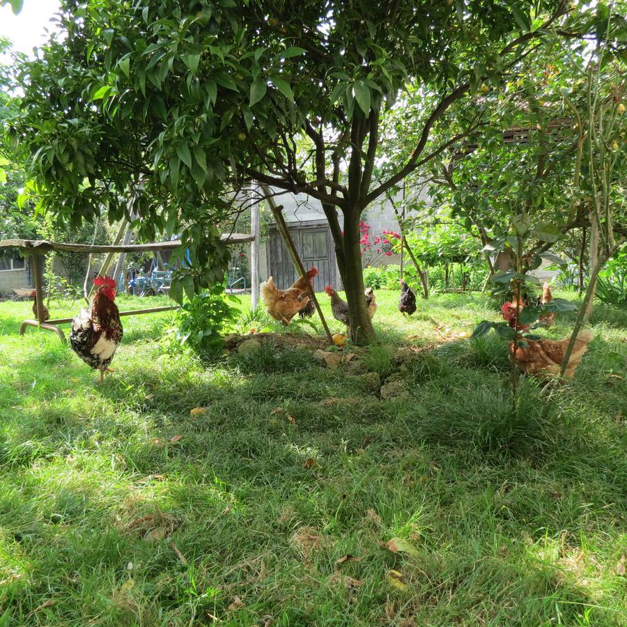 Agroturismo La Casona De Belmonte Ovinana  Kültér fotó