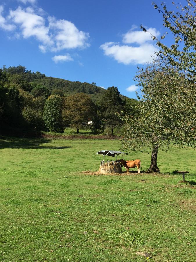 Agroturismo La Casona De Belmonte Ovinana  Kültér fotó