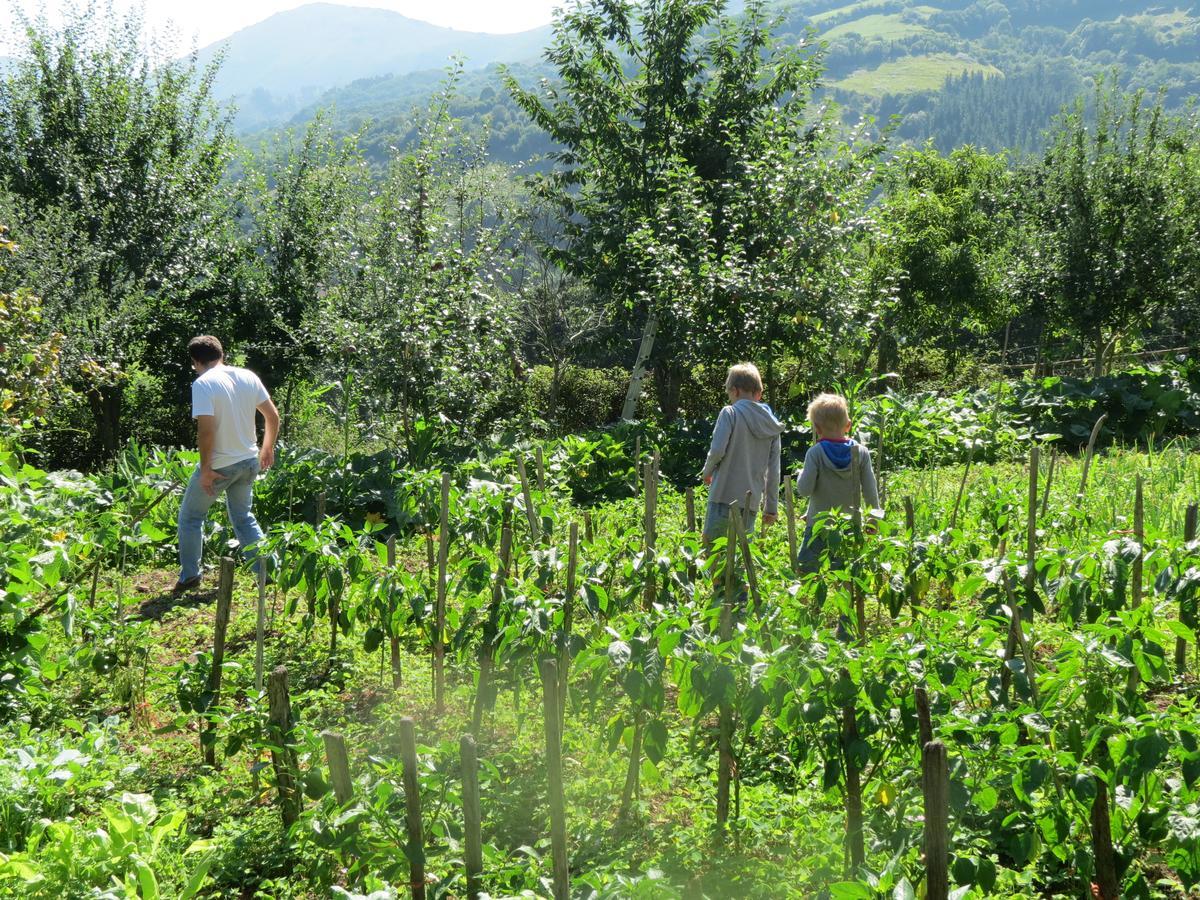Agroturismo La Casona De Belmonte Ovinana  Kültér fotó